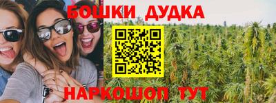 гидра Кингисепп