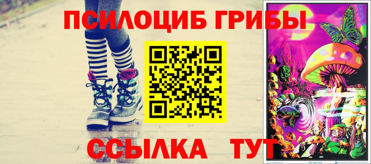 Псилоцибиновые грибы Psilocybine cubensis Каменка