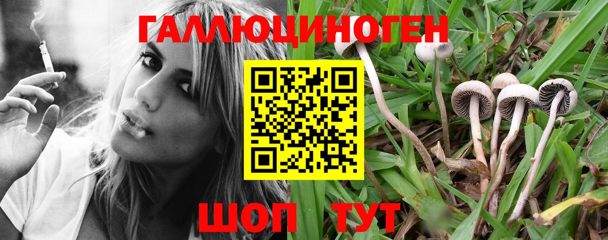 Псилоцибиновые грибы Psilocybine cubensis  Галлюциногенные грибы Psilocybine cubensis  Вход с VPN  Каменка 